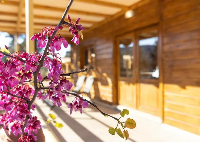 Apartment Agrelia Homes 2 Dragano